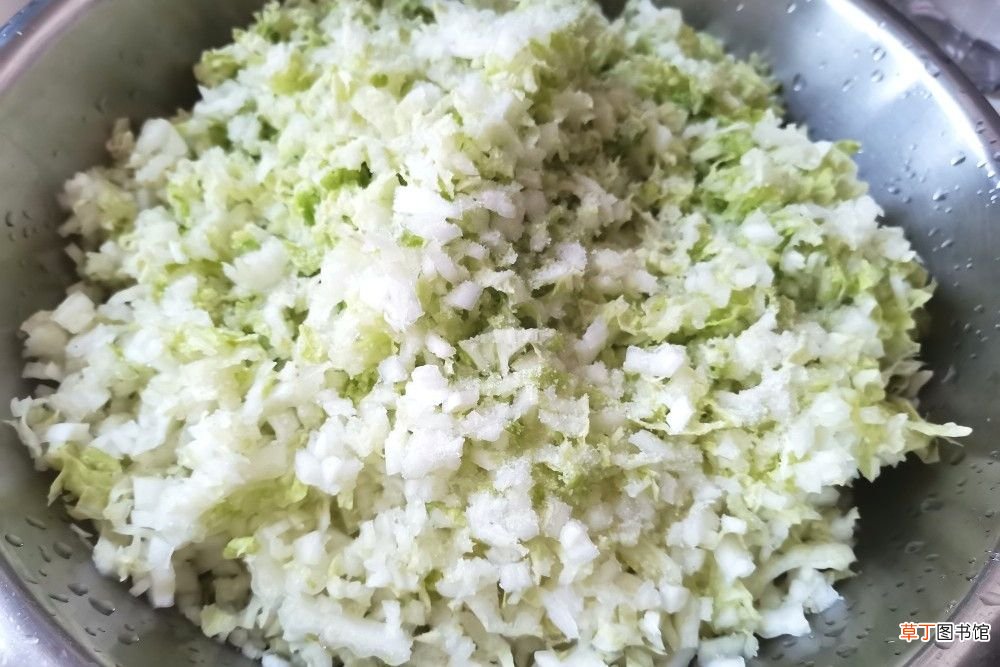 白菜猪肉饺子馅的做法 最专业的猪肉白菜馅调法
