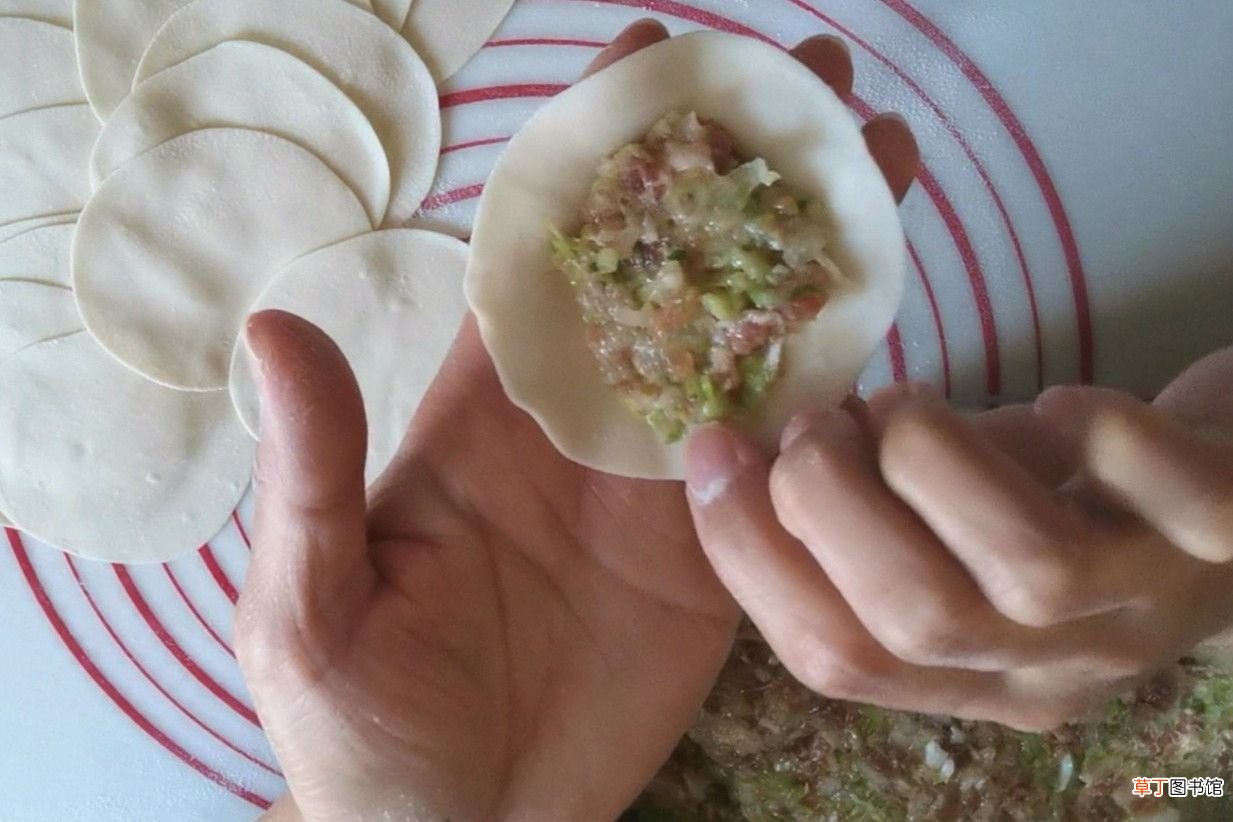 白菜猪肉饺子馅的做法 最专业的猪肉白菜馅调法