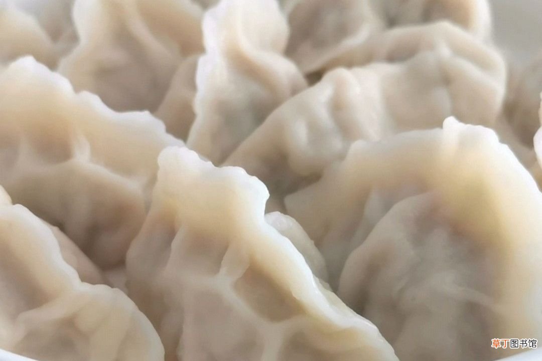 白菜猪肉饺子馅的做法 最专业的猪肉白菜馅调法