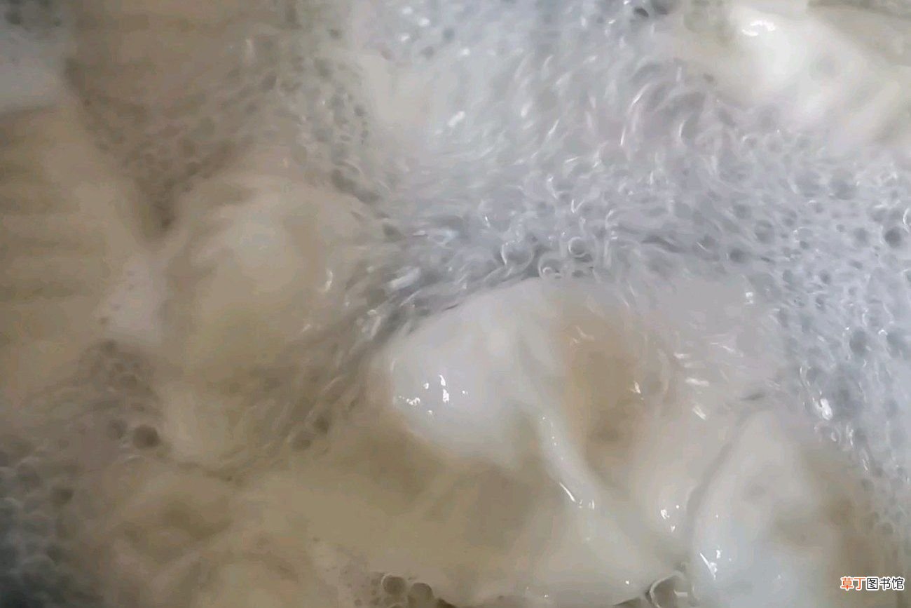白菜猪肉饺子馅的做法 最专业的猪肉白菜馅调法