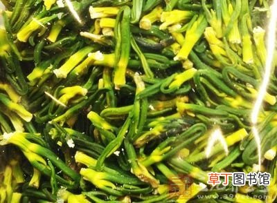 莲子心的功效与作用 莲子芯清热解毒的功效比药都要好