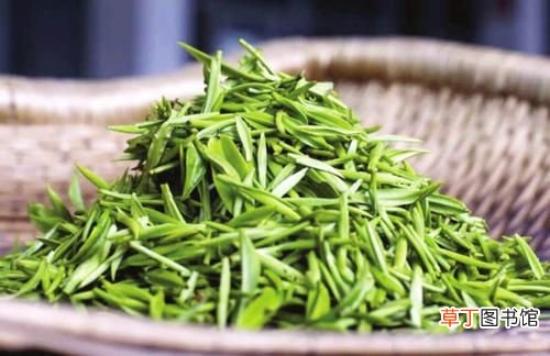 碧螺春属于什么茶 碧螺春是什么茶？