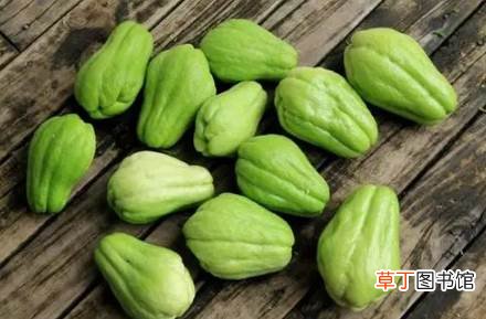 佛手瓜要不要削皮吃 佛手瓜的皮能吃吗
