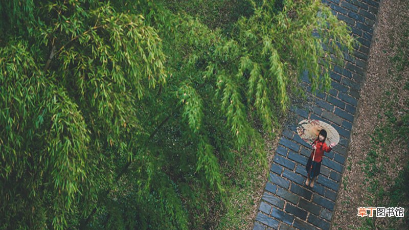 女人梦见下雨房子漏雨
