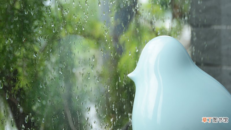 女人梦见下小雨