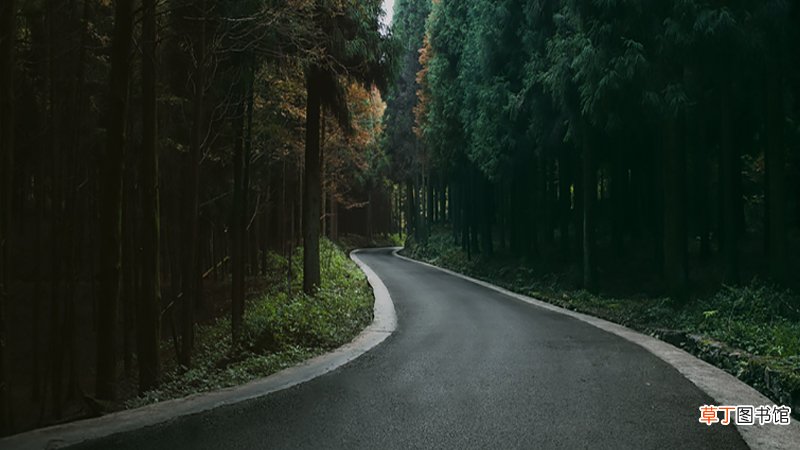 女人梦见下坡路很陡