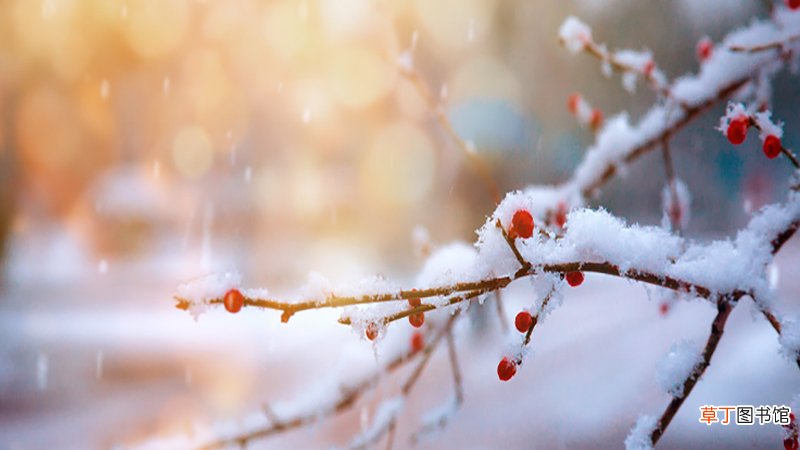 女人梦见下雪好不好