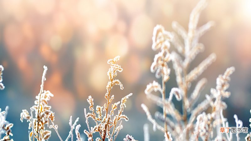 女人梦见下雪好不好