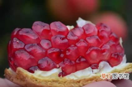 石榴是上火还是降火的 石榴是热性还是凉性
