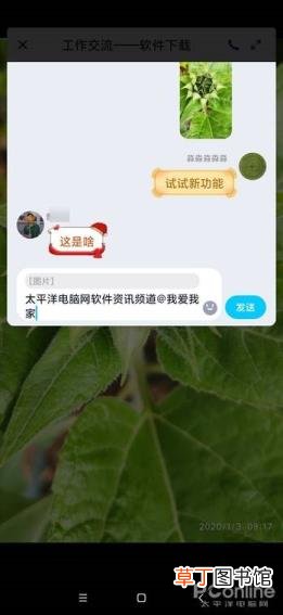 为什么王者最近不好打一直输 王者为什么一直输