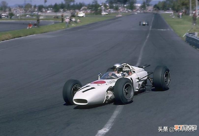 一只母鸡进了公鸡群会死吗 鸡为什么会下蛋