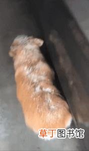为什么我会觉得腰酸很累 为什么我腰酸