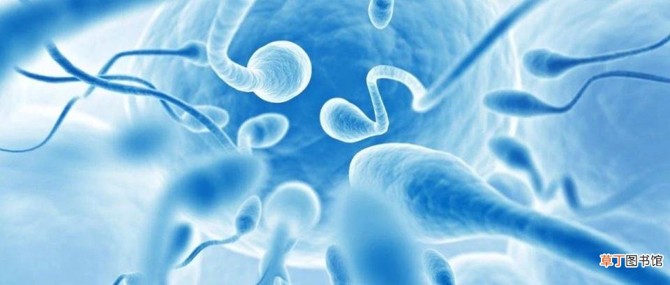 为什么我会觉得腰酸很累 为什么我腰酸