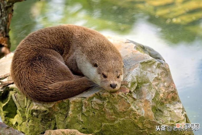 越来越多的人朋友圈设置三天 为什么要设置三天可见