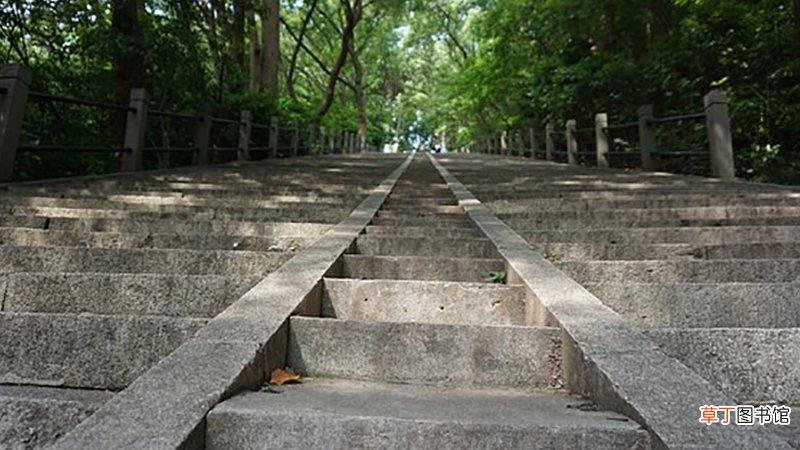 女人梦见爬坡爬上去了