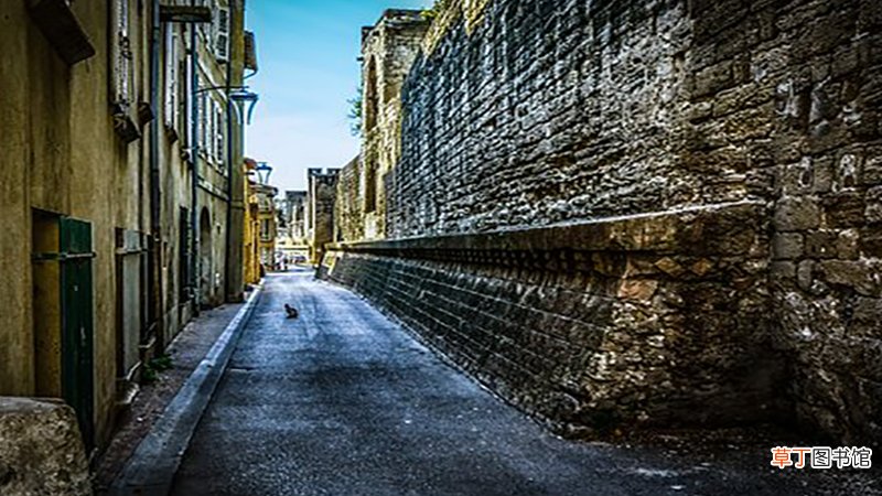 女人梦见迷路有人指路