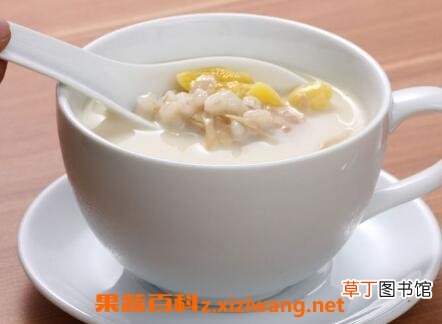 白果陈皮粥的功效和作用