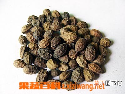 鸦胆子的功效与作用