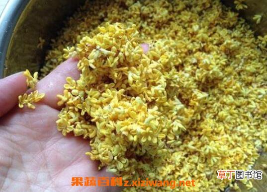 干桂花能直接吃吗 干桂花怎么吃最好