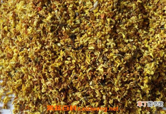 干桂花能直接吃吗 干桂花怎么吃最好