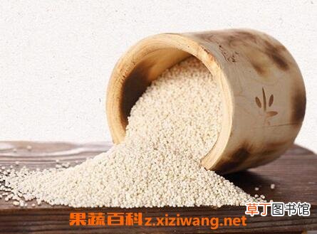 白小米的功效与作用