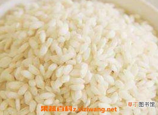 粳米的的功效与作用