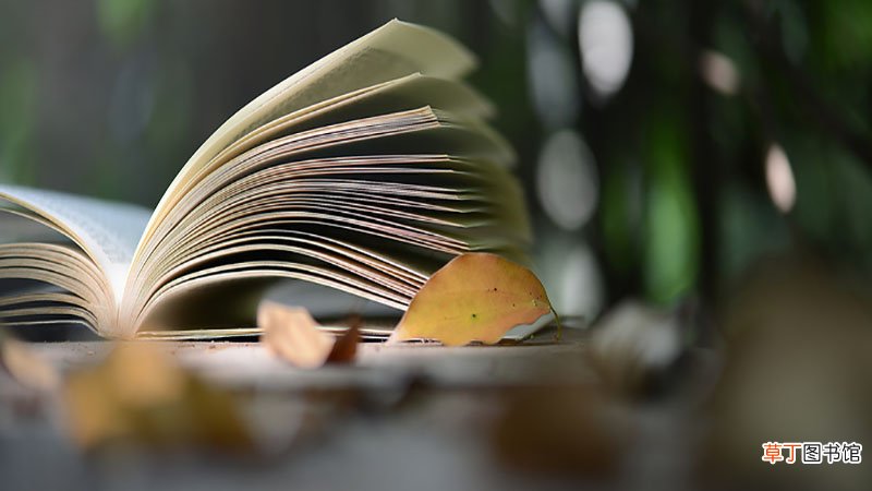 梦见回学校读书是什么意思
