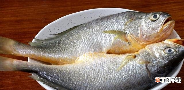 大黄鱼这样做好吃到停不下来 大黄鱼怎么做好吃