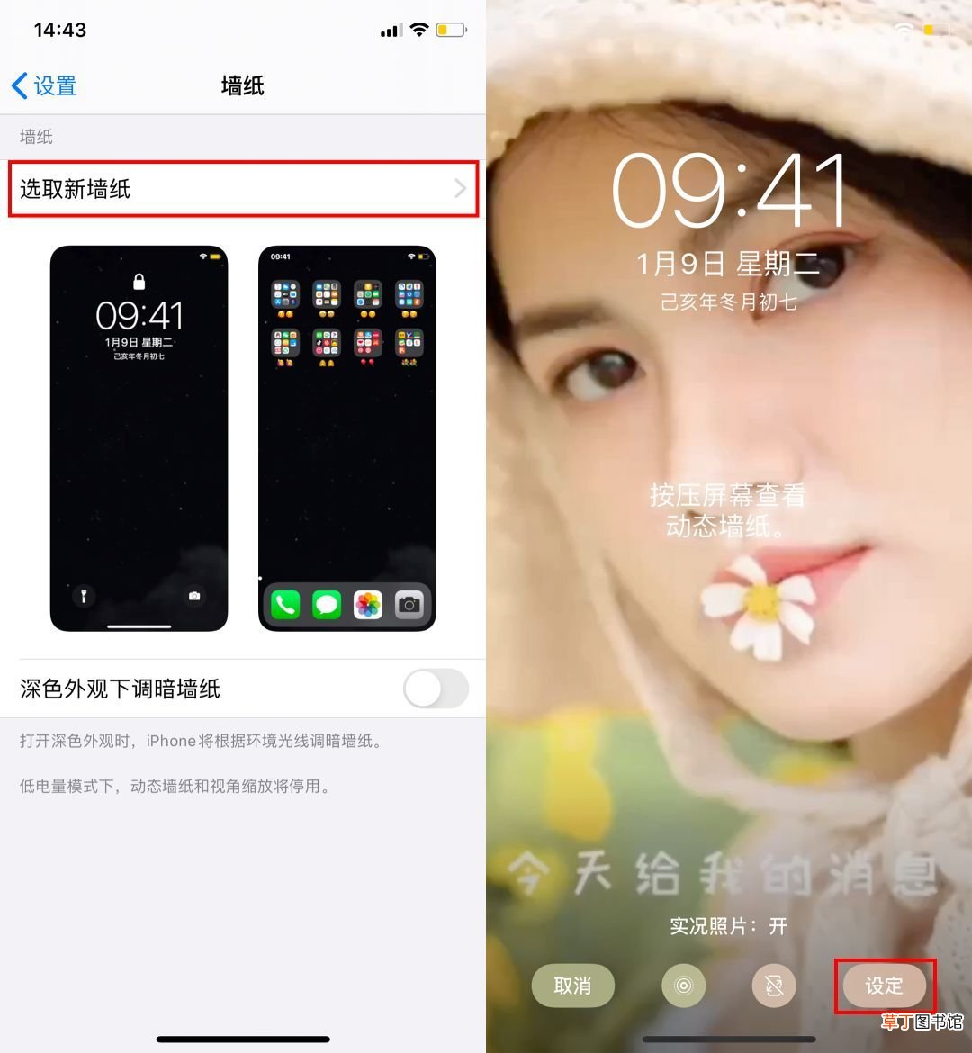 苹果微信怎么设置动态壁纸 可以这样设置动态壁纸
