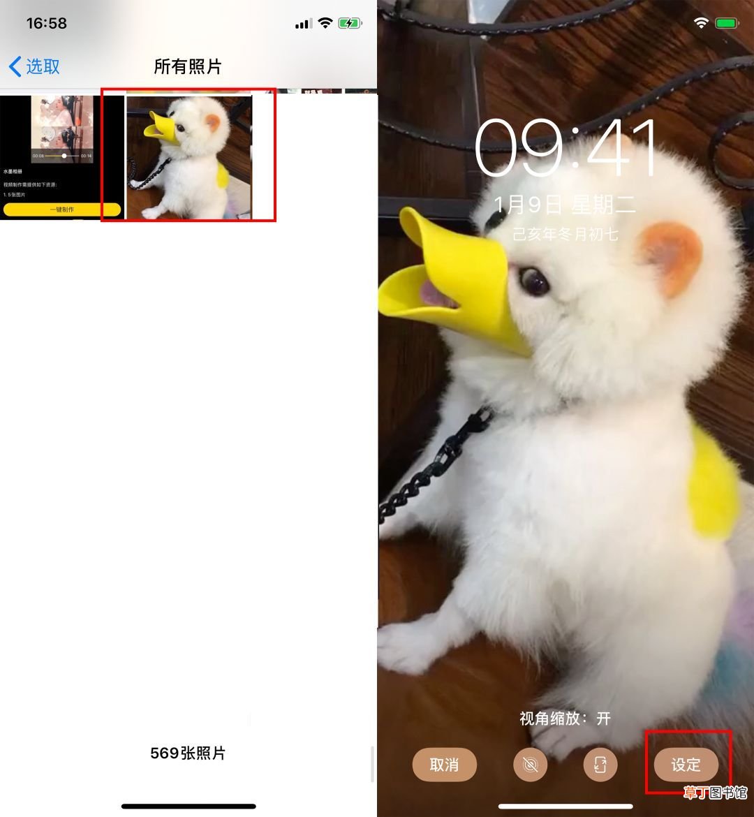 苹果微信怎么设置动态壁纸 可以这样设置动态壁纸