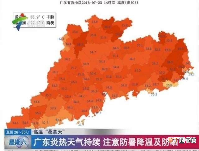 夏季养生食谱 夏季养生食谱大全