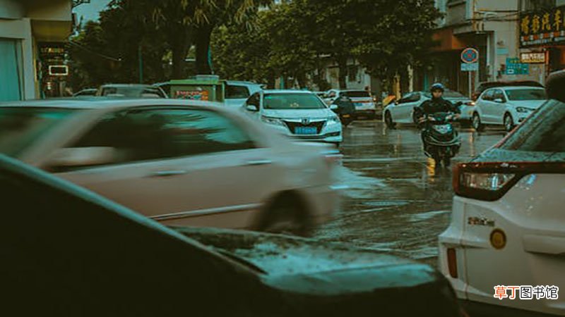 梦见下雨天