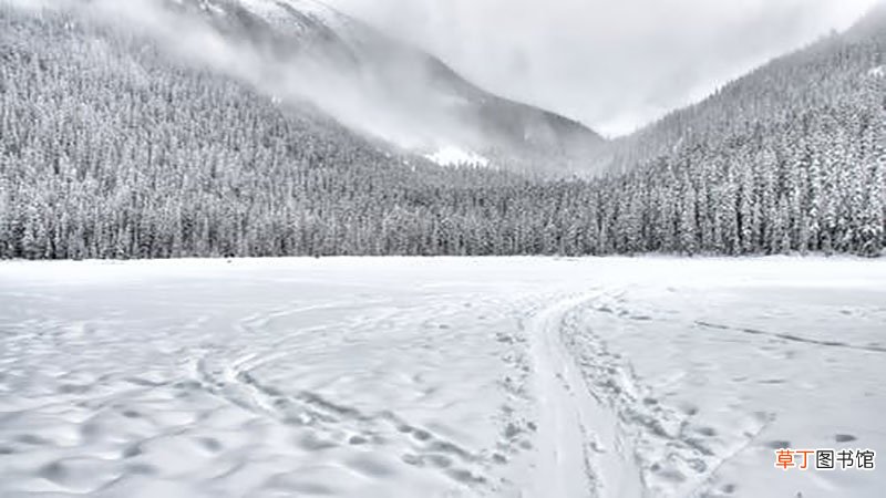 梦见雪
