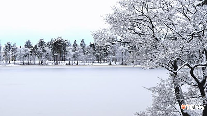 梦见雪