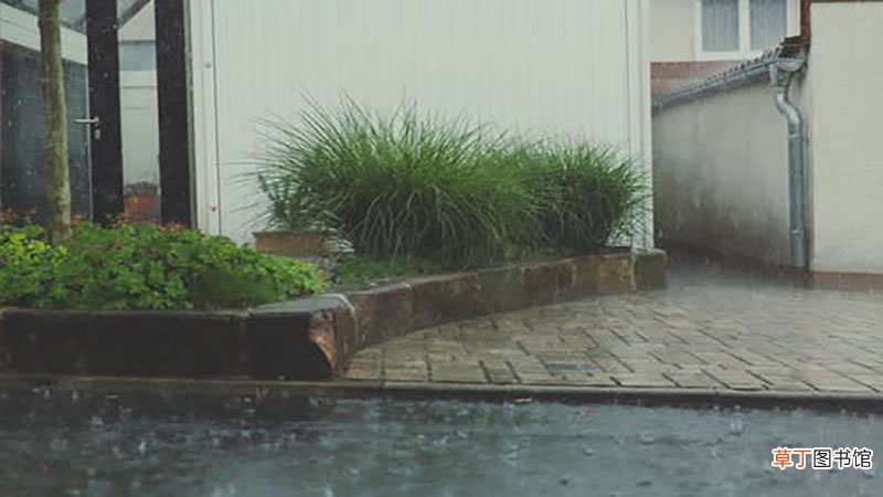 梦见下雨被淋湿