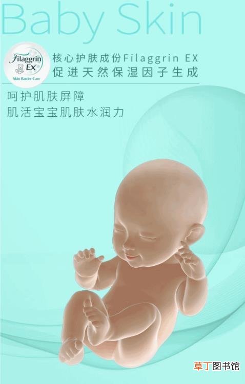 希芸在全世界的排名 希芸为什么那么便宜