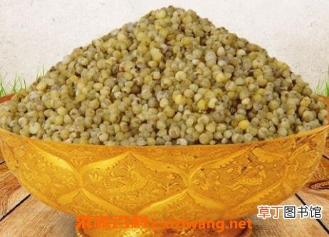绿小米的的作用与功效