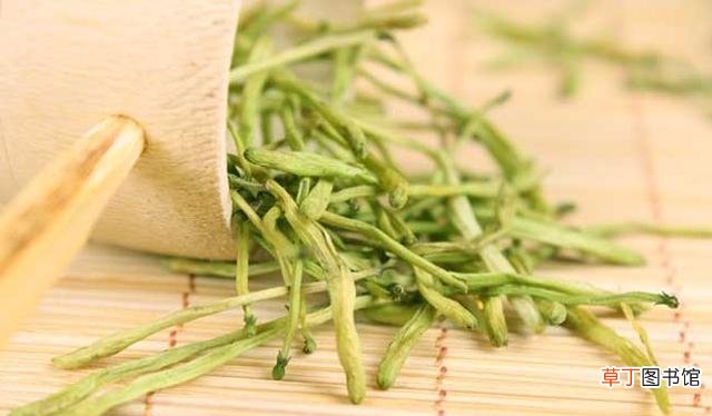 金银花茶的饮用禁忌 喝金银花水禁忌有哪些