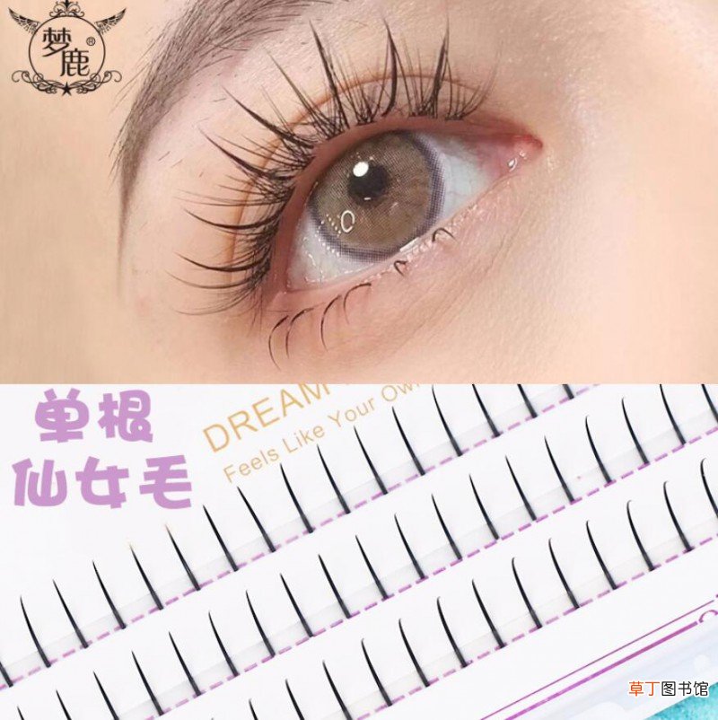 美睫可以自学吗