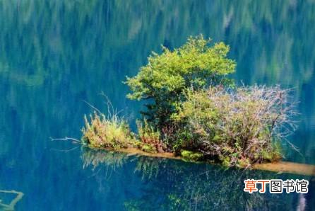 九寨沟景点是否全部开放2021 九寨沟全域恢复开放是真的吗