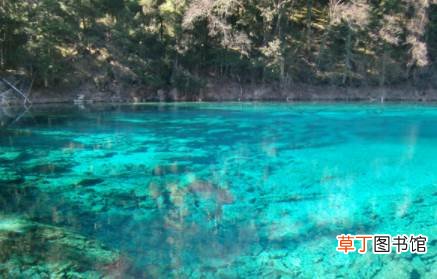 九寨沟景点是否全部开放2021 九寨沟全域恢复开放是真的吗