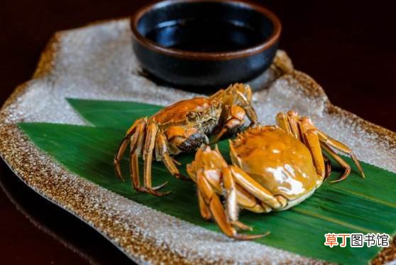 大闸蟹2.5两是多少克 大闸蟹2.5两有多大