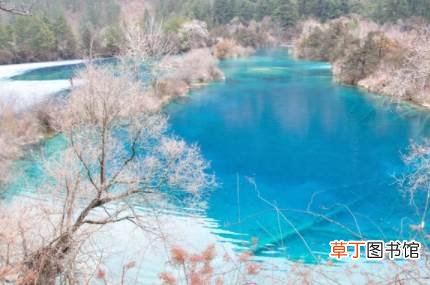 九寨沟恢复开园票价2021 九寨沟恢复开园如何购票2021