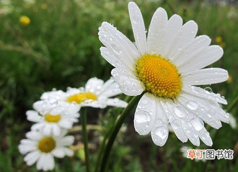 孕妇梦见下雨被淋湿是什么意思