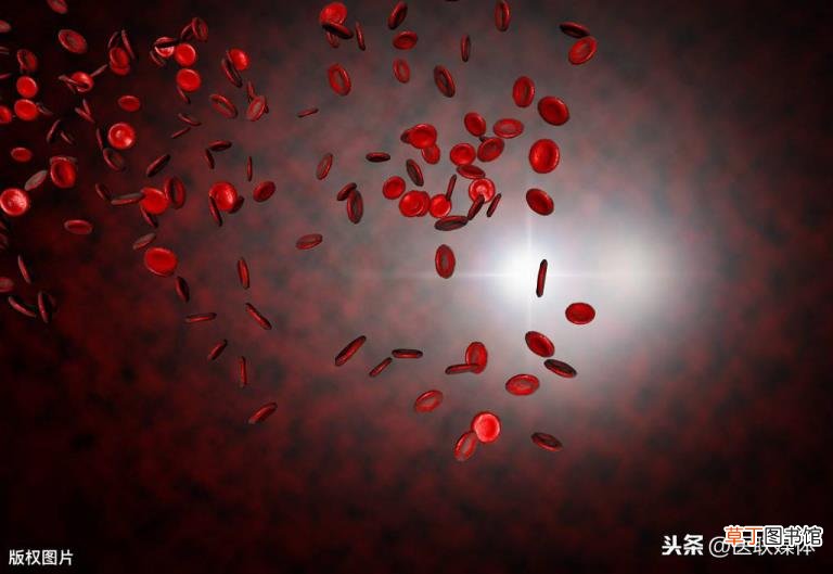 支持废除死刑的理由 为什么废除死刑