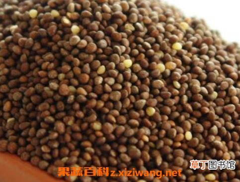 紫苏子粥的功效与作用