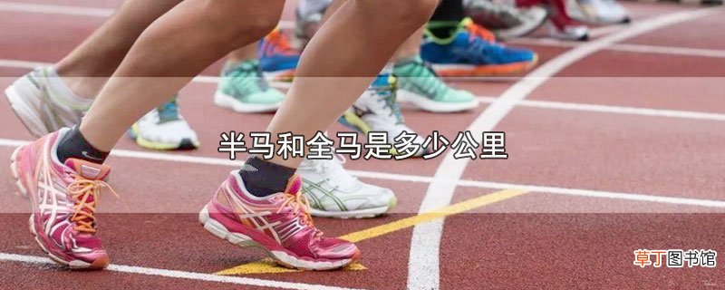 半马和全马是多少公里