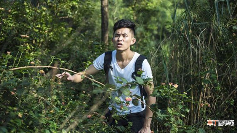 做梦梦到迷路是什么意思