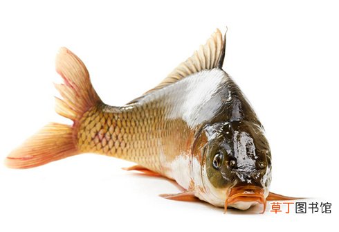 梦见鲤鱼在水里游是什么意思