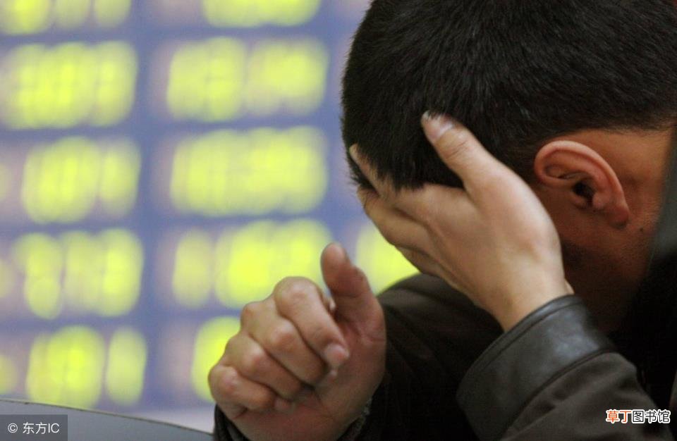 无尾狗品种图片 狗为什么没有尾巴